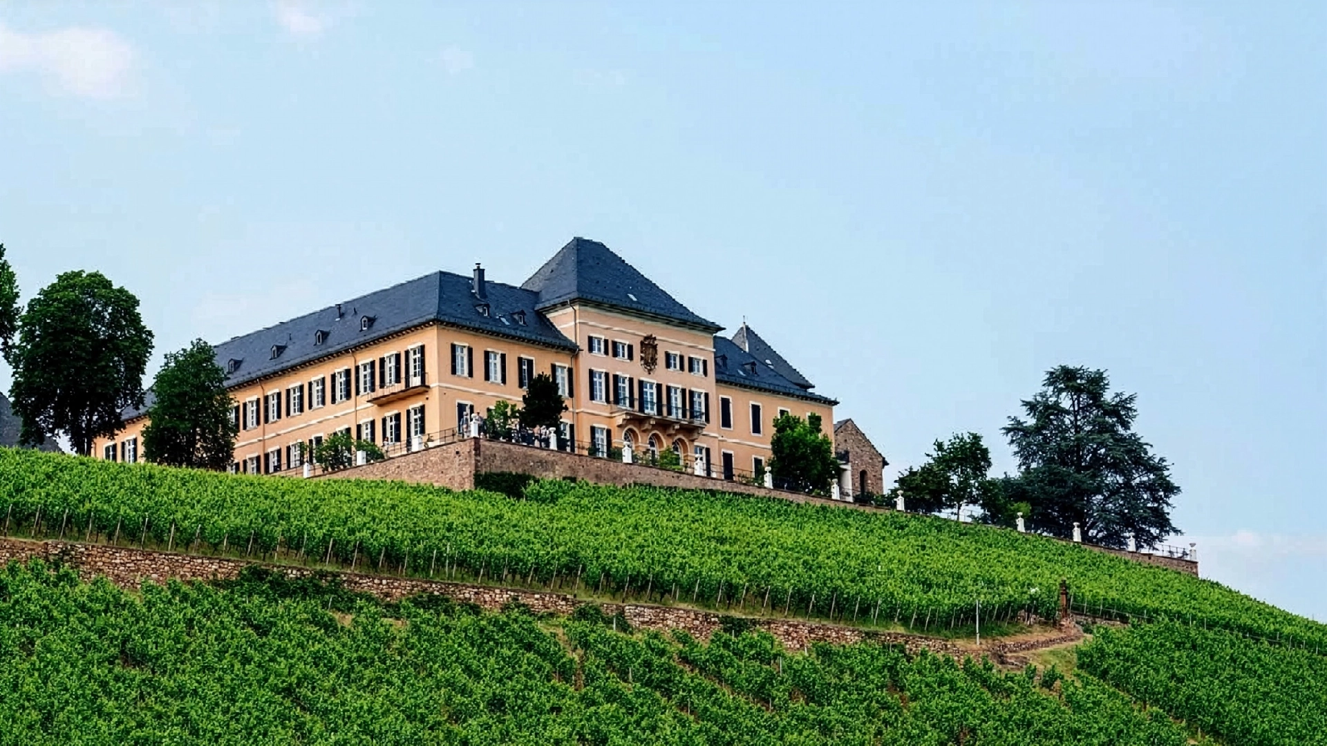 Rheingau Mzsikfestival